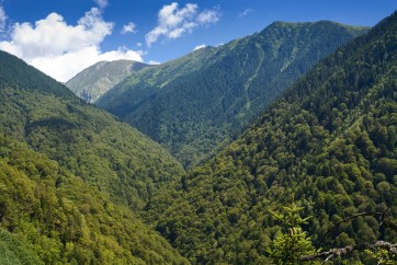 Fantastic Boia Mica Valley in Fagaras Natura 2000: after years of struggle with bureaucracy, the valley is finally included in the “National Catalog of Virgin Forests”.  Photo: Matthias Schickhofer.