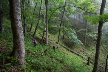 Reaching the research plot in rainy and stormy weather.