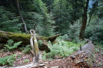 Celá lokalita nyní spadá pod Národní přírodní rezervaci Kundračka s rozlohou 117ha.