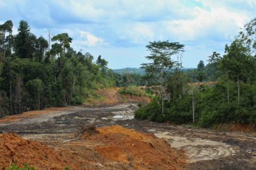 Borneo Island. Photo: Gita Matlášková