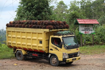 Borneo Island. Photo: Gita Matlášková