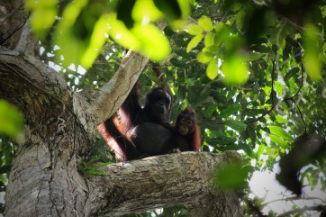 Ostrov Borneo. Foto: Gita Matlášková