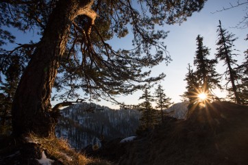 Slovenský prales Kundračka. Foto: Ondrej Kameniar