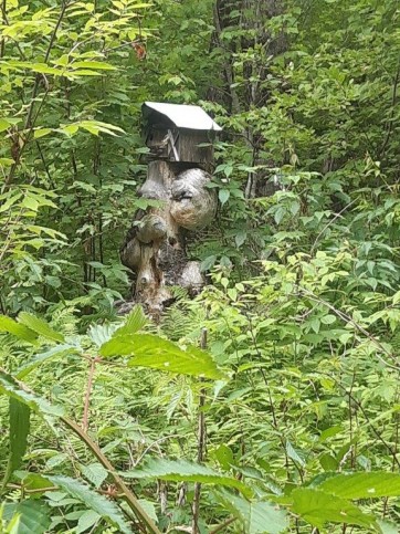 Forests of joint owners - company for the support of birds ("forestry with birds in mind"). The management there purposefully creates suitable habitats for selected umbrella species of songbirds. Photo: Petr Kjučukov