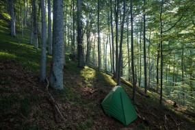 Our base camp in the primary forest