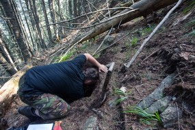 Taking the soil samples on the plots was hard work in Boia Mica - humus horizont is exceptionally deep here  despite of steep slopes.