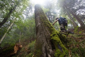 Maramures Mountains Natural Park-Romania. Photo: Ondrej Kameniar