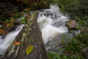 Přírodní park Maramureš, Foto: Ondrej Kameniar