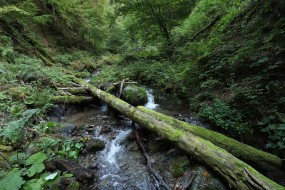 Maramures Mountains Natural Park-Romania. Photo: Matěj Ferenčík