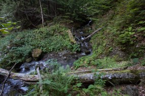 Přírodní park Maramureš, Foto: Ondrej Kameniar