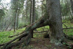 Photo: Matěj Ferenčík