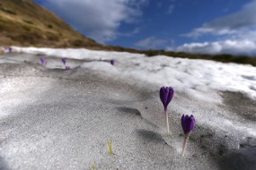 Foto: Marek Mejstřík