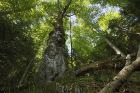 Foto: Marek Mejstřík