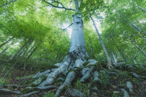 Foto: Marek Mejstřík