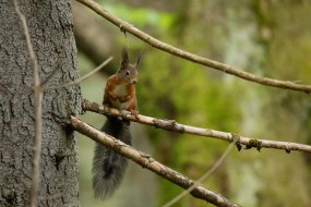 Photo: Marek Mejstřík