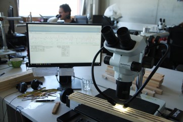 Vzorky  jsou zkušenými pracovníky měřeny pomocí sestavy mikroskopu, posuvného stolu LinTab a počítačových programů TSAPWin a CDendro