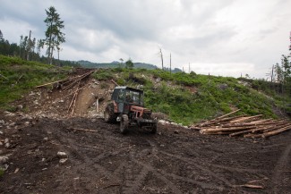 tractor in strict nature reserve - local foresters claim, that they are helping the nature to prevent the forest transformaton to "moonscape"....