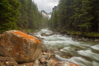 mountain river flowing from Bielovodská valley in the spring