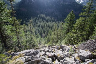 bottom of the valley is also partly covered by primary forest, what is quite rare in central Europe