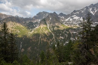 high mountain landscape over the primary forest is highly influenced by snow