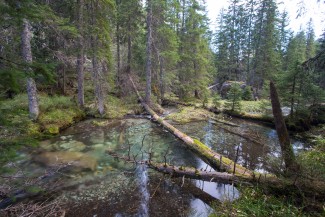 mountain river is slowing down in some parts with low slope and divide to small and slow arms