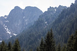 primary forest in Bielovodská valley is located on very steep slopes