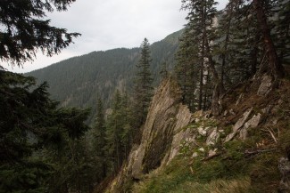steep and rocky slopes protected the forests in history...