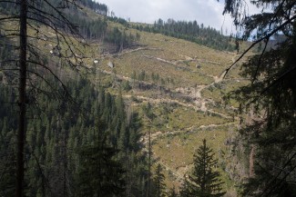recent destruction of the valley