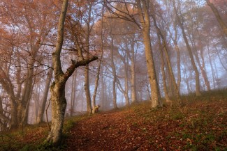 Foto: Marek Mejstřík