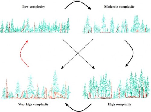 Meigs et al., 2017